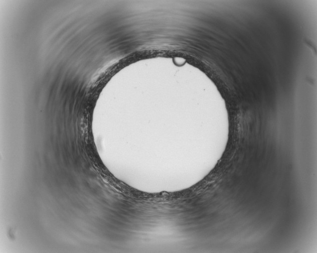 X0000103500872200810101044