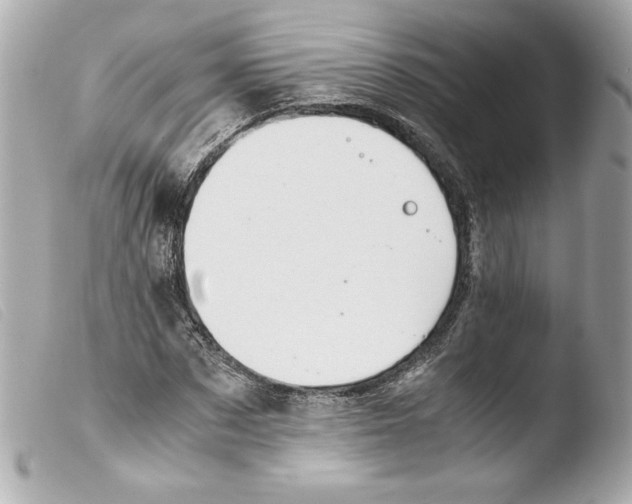 X0000103500873200810101044