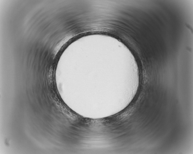 X0000103500875200810101044