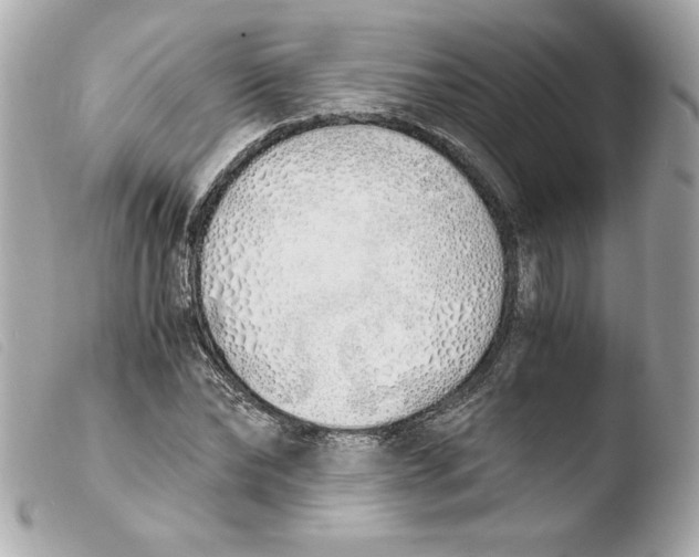 X0000103500878200810101044