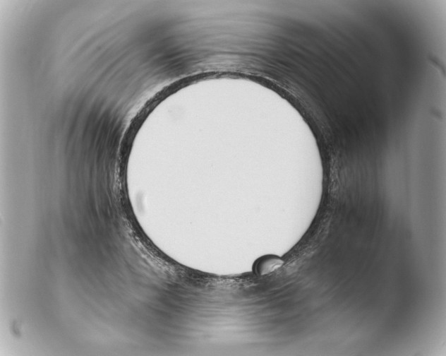 X0000103500880200810101044