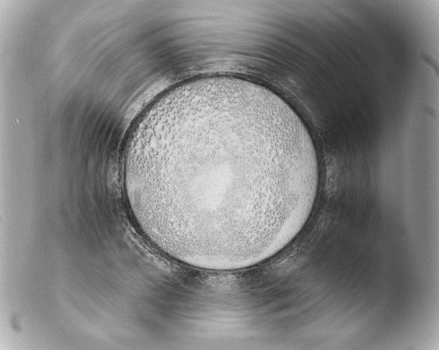 X0000103500882200810101044