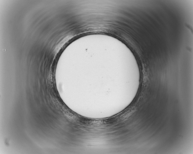 X0000103500883200810101044