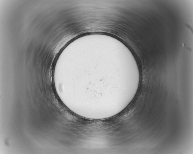 X0000103500885200810101044