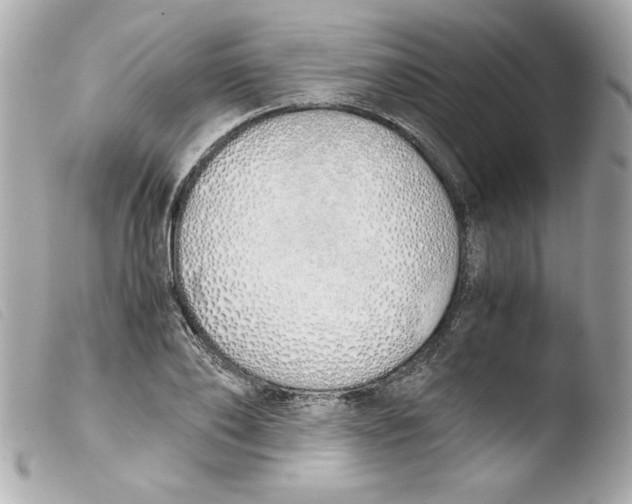 X0000103500886200810101044