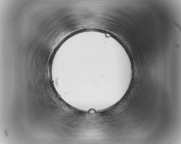 X0000103500887200810101044