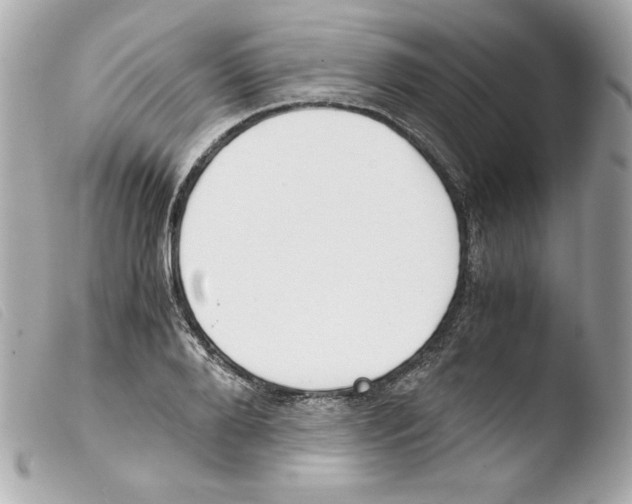 X0000103500888200810101044