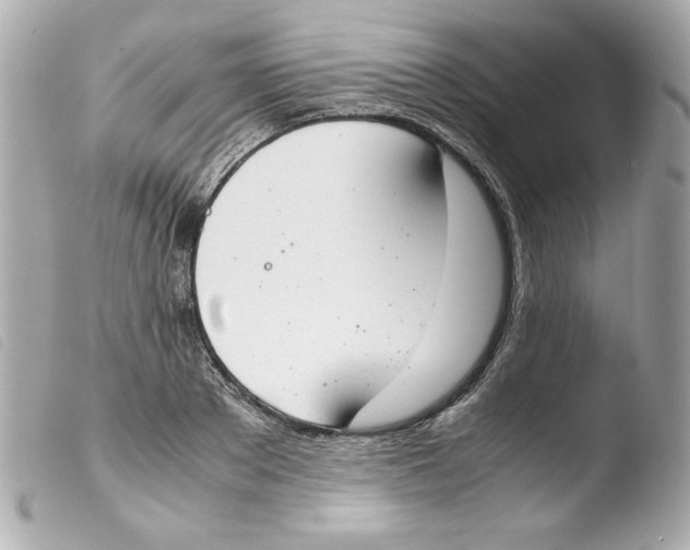 X0000103500889200810101044