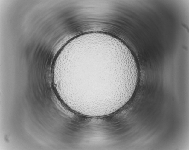 X0000103500890200810101044