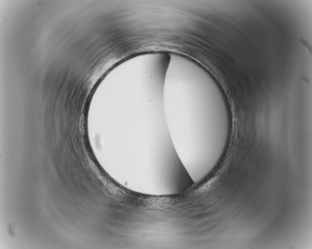 X0000103500893200810101044