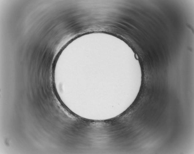 X0000103500894200810101044