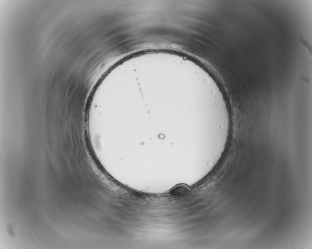 X0000103500895200810101044