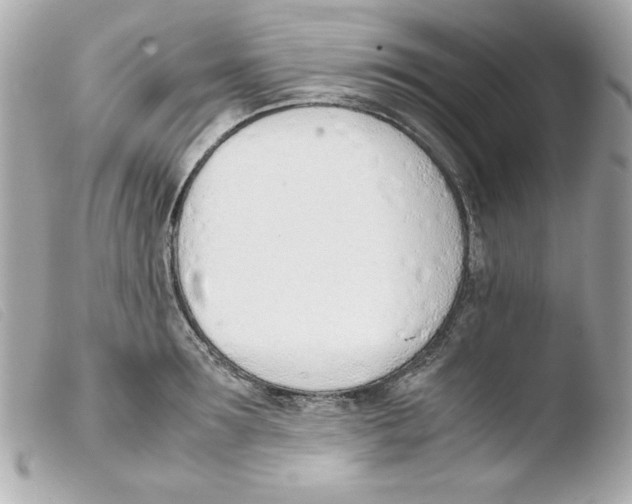 X0000103500899200810101044