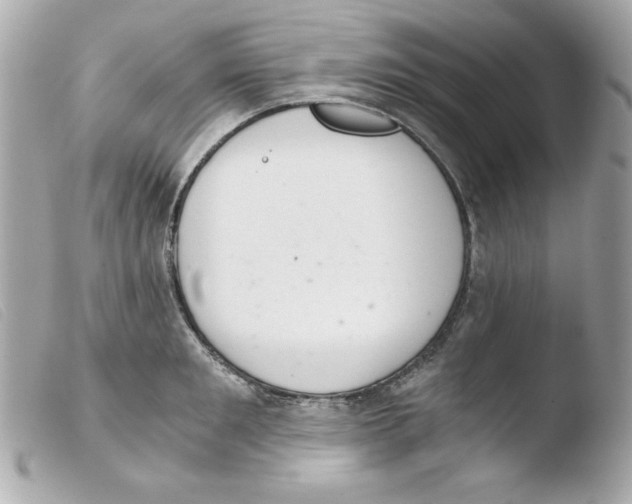 X0000103500901200810101043