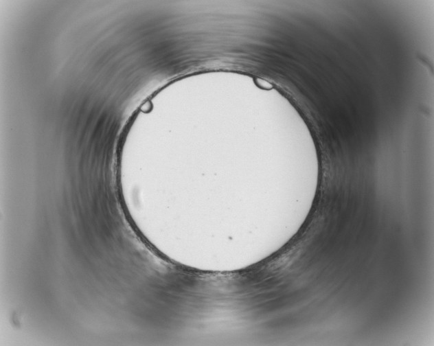 X0000103500902200810101043