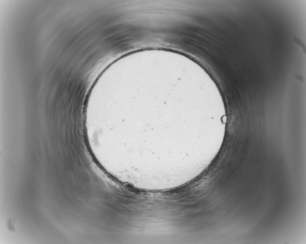 X0000103500903200810101043