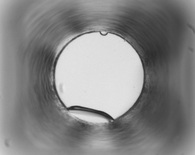 X0000103500904200810101043