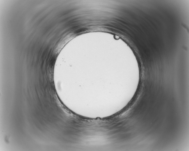 X0000103500905200810101043