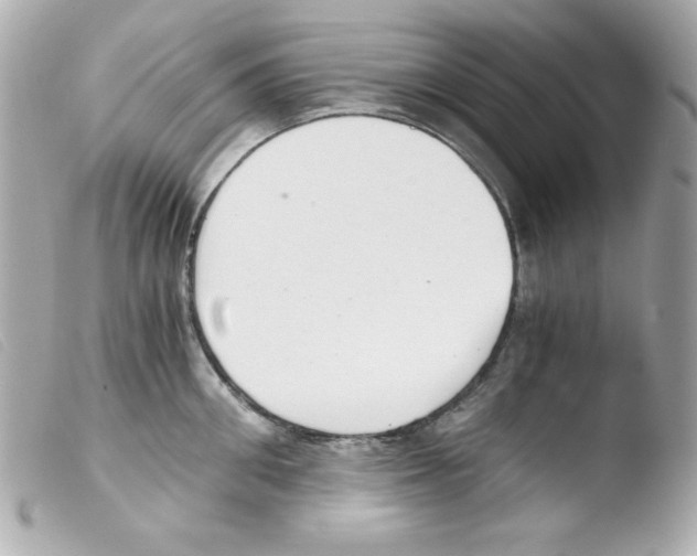 X0000103500906200810101043