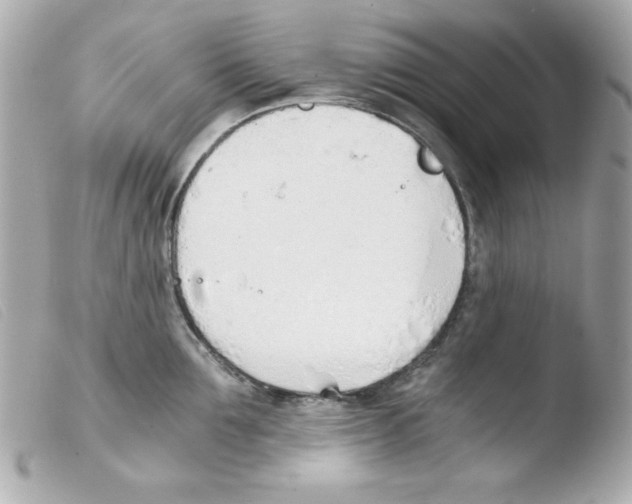 X0000103500907200810101043