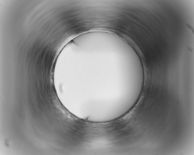 X0000103500908200810101043