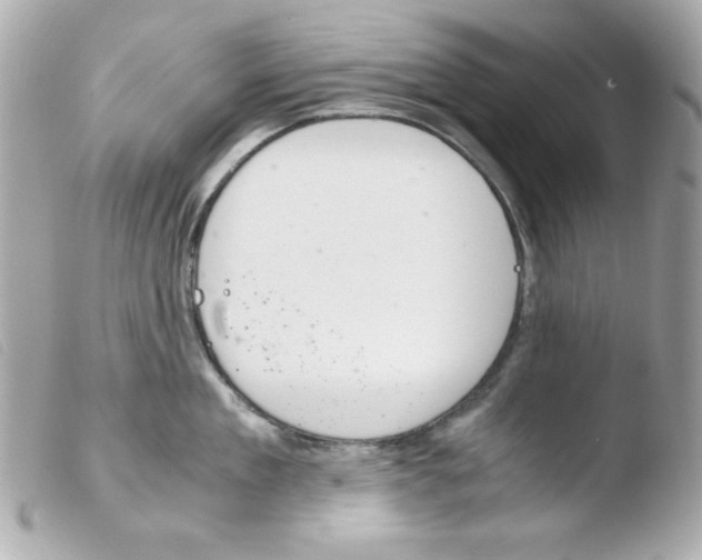 X0000103500909200810101043