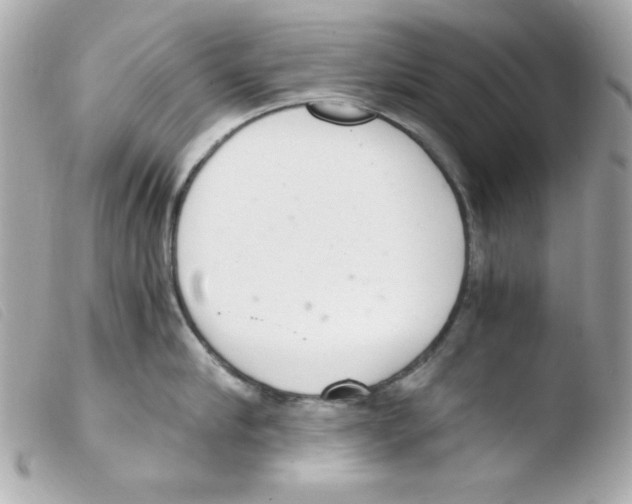 X0000103500910200810101043