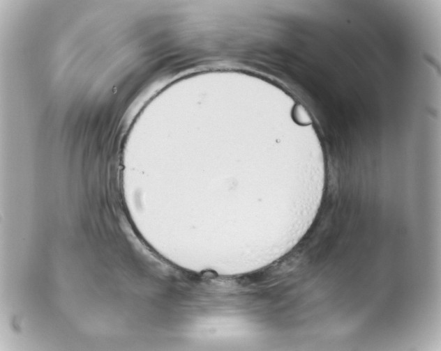 X0000103500911200810101043