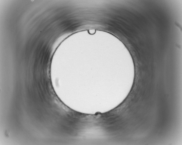 X0000103500912200810101043