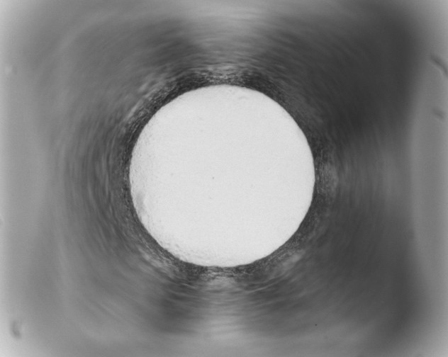 X0000103500913200810101043