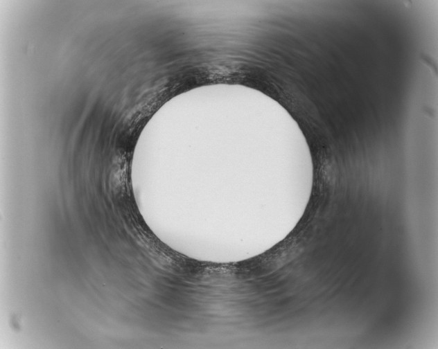 X0000103500914200810101043