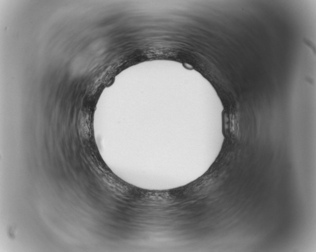 X0000103500915200810101043