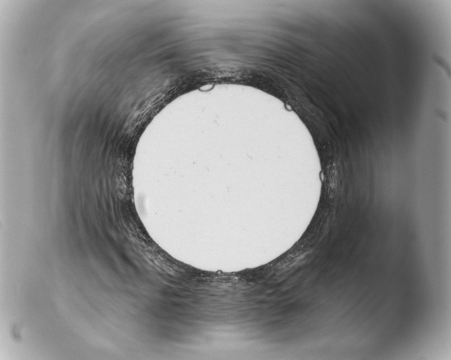 X0000103500916200810101043