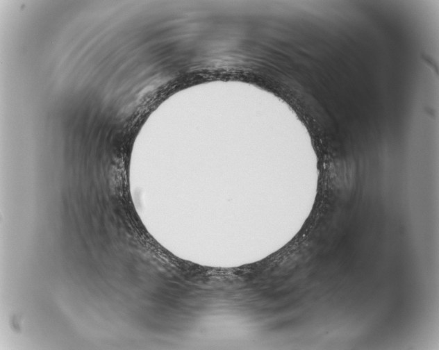 X0000103500918200810101043