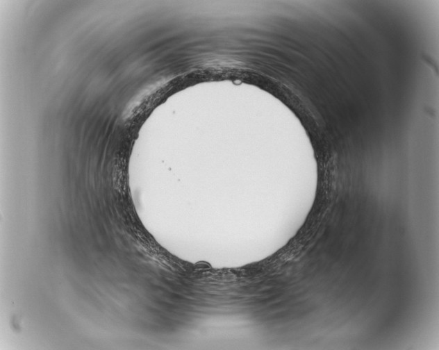 X0000103500919200810101043