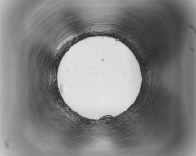 X0000103500920200810101043