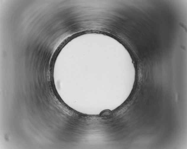 X0000103500924200810101043