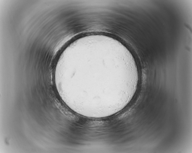 X0000103500925200810101043