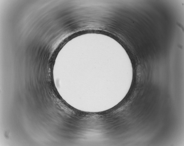 X0000103500926200810101043