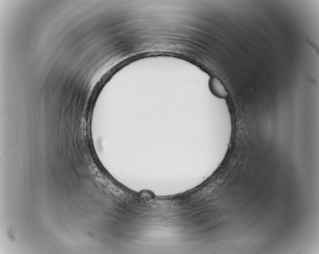 X0000103500928200810101043