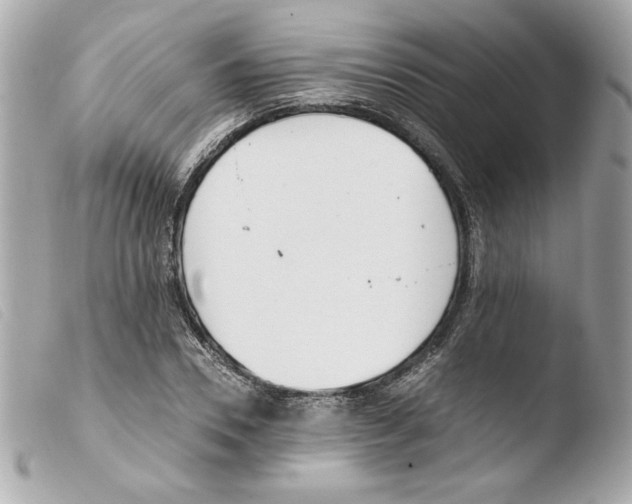 X0000103500930200810101043