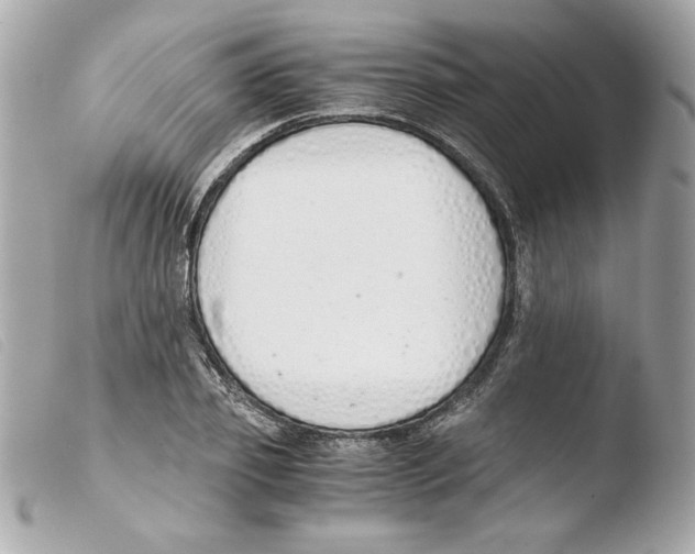 X0000103500933200810101043