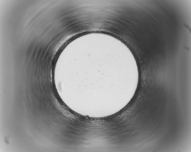 X0000103500934200810101043