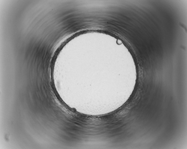 X0000103500935200810101043