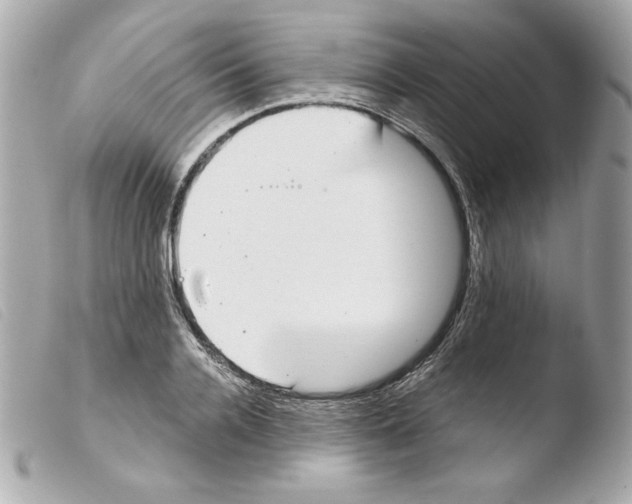 X0000103500936200810101043