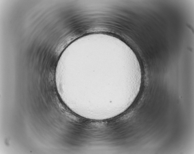 X0000103500937200810101043