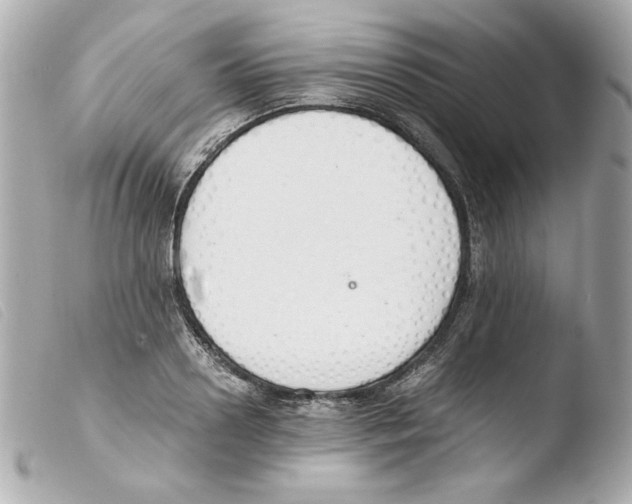 X0000103500938200810101043