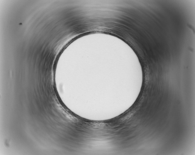 X0000103500940200810101043