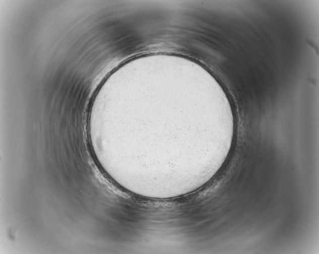 X0000103500941200810101043