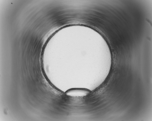 X0000103500943200810101043